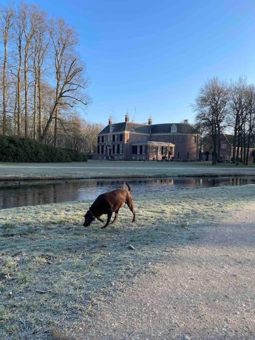 Magical Cottage In The Woods Baarn Buitenkant foto