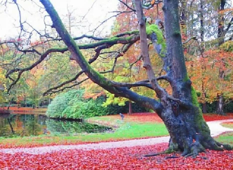 Magical Cottage In The Woods Baarn Buitenkant foto